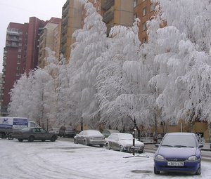 DSCN6259.jpg (4393 просмотра) <a class='original' href='./download/file.php?id=38064&mode=view' target=_blank>Загрузить оригинал (207.27 КБ)</a>