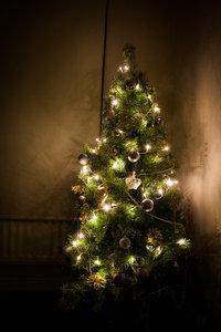 IMG_4472.jpg (3530 просмотров) <a class='original' href='./download/file.php?id=38284&mode=view' target=_blank>Загрузить оригинал (3.76 МБ)</a>