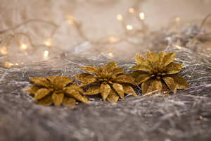 IMG_4363.jpg (3530 просмотров) <a class='original' href='./download/file.php?id=38287&mode=view' target=_blank>Загрузить оригинал (546.26 КБ)</a>