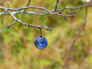 153.jpg (3507 просмотров) <a class='original' href='./download/file.php?id=38307&mode=view' target=_blank>Загрузить оригинал (261.58 КБ)</a>