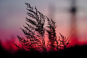 CRW_6242.jpg (3318 просмотров) <a class='original' href='./download/file.php?id=38341&mode=view' target=_blank>Загрузить оригинал (213.42 КБ)</a>