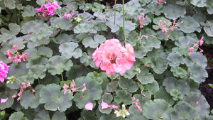 IMG_20140423_144916.jpg (3297 просмотров) <a class='original' href='./download/file.php?id=38355&mode=view' target=_blank>Загрузить оригинал (934.85 КБ)</a>