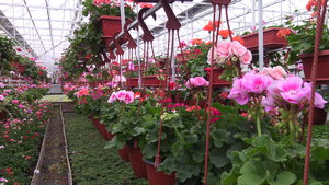 IMG_20140423_144926.jpg (3297 просмотров) <a class='original' href='./download/file.php?id=38356&mode=view' target=_blank>Загрузить оригинал (1.14 МБ)</a>