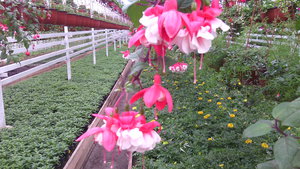 IMG_20140423_145001.jpg (3297 просмотров) <a class='original' href='./download/file.php?id=38358&mode=view' target=_blank>Загрузить оригинал (1.37 МБ)</a>