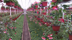 IMG_20140423_145007.jpg (3297 просмотров) <a class='original' href='./download/file.php?id=38359&mode=view' target=_blank>Загрузить оригинал (1.31 МБ)</a>