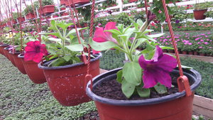 IMG_20140423_145042.jpg (3297 просмотров) <a class='original' href='./download/file.php?id=38361&mode=view' target=_blank>Загрузить оригинал (1.2 МБ)</a>