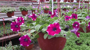 IMG_20140423_145145.jpg (3297 просмотров) <a class='original' href='./download/file.php?id=38363&mode=view' target=_blank>Загрузить оригинал (1.07 МБ)</a>