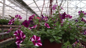 IMG_20140423_145154.jpg (3297 просмотров) <a class='original' href='./download/file.php?id=38364&mode=view' target=_blank>Загрузить оригинал (677.52 КБ)</a>