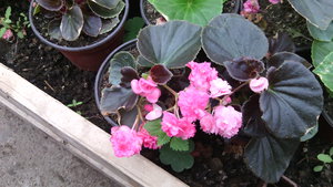 IMG_20140423_145206.jpg (3297 просмотров) <a class='original' href='./download/file.php?id=38365&mode=view' target=_blank>Загрузить оригинал (935.39 КБ)</a>