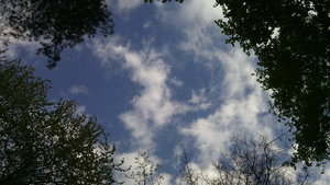 IMG_20140424_172112.jpg (923.53 КБ) 3312 просмотров Небо (3312 просмотров) <a class='original' href='./download/file.php?id=38367&sid=fa4276d271ba33bbefe18d38948dcbef&mode=view' target=_blank>Загрузить оригинал (923.53 КБ)</a>