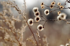 CRW_6203.jpg (3286 просмотров) <a class='original' href='./download/file.php?id=38369&mode=view' target=_blank>Загрузить оригинал (183.64 КБ)</a>