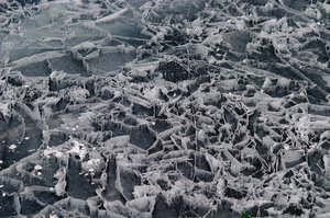 CRW_6220.jpg (3286 просмотров) <a class='original' href='./download/file.php?id=38370&mode=view' target=_blank>Загрузить оригинал (487.41 КБ)</a>