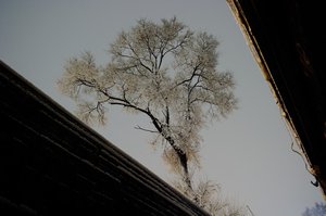 CRW_6338.jpg (3286 просмотров) <a class='original' href='./download/file.php?id=38371&mode=view' target=_blank>Загрузить оригинал (219.07 КБ)</a>