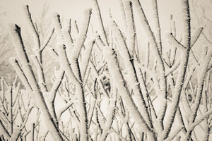 IMG_7642.jpg (3286 просмотров) <a class='original' href='./download/file.php?id=38373&mode=view' target=_blank>Загрузить оригинал (460.21 КБ)</a>