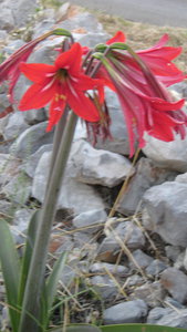 IMG_2378.jpg (3279 просмотров) <a class='original' href='./download/file.php?id=38374&mode=view' target=_blank>Загрузить оригинал (1.91 МБ)</a>