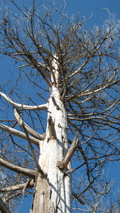 IMG_2383.jpg (3262 просмотра) <a class='original' href='./download/file.php?id=38384&mode=view' target=_blank>Загрузить оригинал (3.2 МБ)</a>