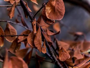 03-001.jpg (3241 просмотр) <a class='original' href='./download/file.php?id=38391&mode=view' target=_blank>Загрузить оригинал (54.72 КБ)</a>