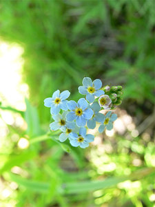 цг01.jpg (3224 просмотра) <a class='original' href='./download/file.php?id=38402&mode=view' target=_blank>Загрузить оригинал (61.95 КБ)</a>