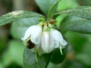 цб09.jpg (3224 просмотра) <a class='original' href='./download/file.php?id=38403&mode=view' target=_blank>Загрузить оригинал (69.44 КБ)</a>