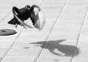 04-001.jpg (2555 просмотров) <a class='original' href='./download/file.php?id=38427&mode=view' target=_blank>Загрузить оригинал (123.34 КБ)</a>