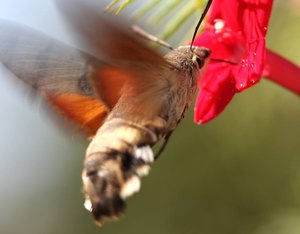 04-005.jpg (2555 просмотров) <a class='original' href='./download/file.php?id=38431&mode=view' target=_blank>Загрузить оригинал (37.08 КБ)</a>