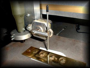 PIC00009.JPG (14731 просмотр) <a class='original' href='./download/file.php?id=38436&mode=view' target=_blank>Загрузить оригинал (48.17 КБ)</a>