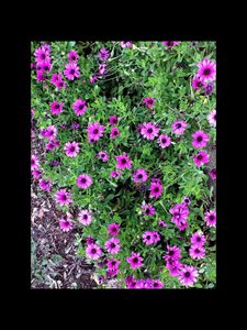 image.jpg (2497 просмотров) <a class='original' href='./download/file.php?id=38467&mode=view' target=_blank>Загрузить оригинал (273.32 КБ)</a>