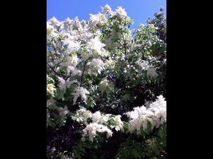 image.jpg (2497 просмотров) <a class='original' href='./download/file.php?id=38468&mode=view' target=_blank>Загрузить оригинал (213.23 КБ)</a>