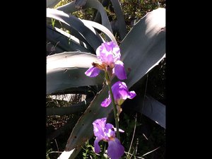 image.jpg (2497 просмотров) <a class='original' href='./download/file.php?id=38469&mode=view' target=_blank>Загрузить оригинал (152.67 КБ)</a>