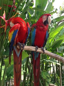 image.jpg (2493 просмотра) <a class='original' href='./download/file.php?id=38470&mode=view' target=_blank>Загрузить оригинал (268.58 КБ)</a>