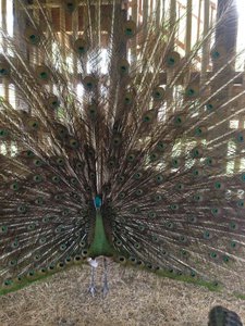 image.jpg (2493 просмотра) <a class='original' href='./download/file.php?id=38471&mode=view' target=_blank>Загрузить оригинал (368.61 КБ)</a>