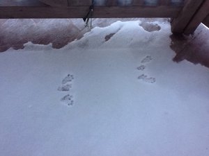 image.jpg (2479 просмотров) <a class='original' href='./download/file.php?id=38479&mode=view' target=_blank>Загрузить оригинал (124.45 КБ)</a>