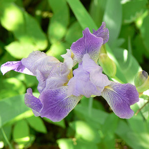 P1090508.jpg (2098 просмотров) <a class='original' href='./download/file.php?id=38494&mode=view' target=_blank>Загрузить оригинал (249.44 КБ)</a>