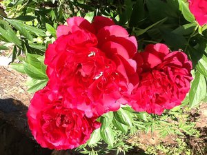 image.jpg (2090 просмотров) <a class='original' href='./download/file.php?id=38496&mode=view' target=_blank>Загрузить оригинал (296.57 КБ)</a>