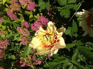 image.jpg (2090 просмотров) <a class='original' href='./download/file.php?id=38497&mode=view' target=_blank>Загрузить оригинал (280.79 КБ)</a>