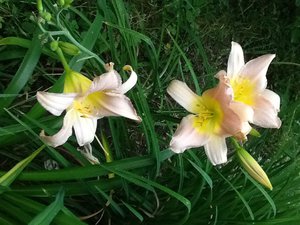 image.jpg (2090 просмотров) <a class='original' href='./download/file.php?id=38499&mode=view' target=_blank>Загрузить оригинал (250.03 КБ)</a>