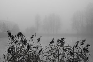 05-001.jpg (2038 просмотров) <a class='original' href='./download/file.php?id=38544&mode=view' target=_blank>Загрузить оригинал (127.04 КБ)</a>