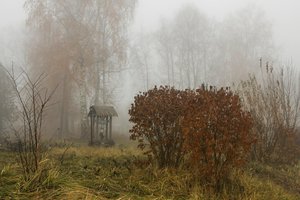 05-006.jpg (2038 просмотров) <a class='original' href='./download/file.php?id=38550&mode=view' target=_blank>Загрузить оригинал (456.55 КБ)</a>