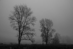 05-009.jpg (2038 просмотров) <a class='original' href='./download/file.php?id=38553&mode=view' target=_blank>Загрузить оригинал (237.03 КБ)</a>