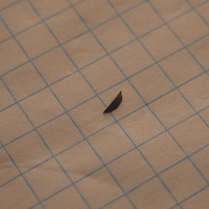 стопор.jpg (5697 просмотров) <a class='original' href='./download/file.php?id=38573&mode=view' target=_blank>Загрузить оригинал (119.93 КБ)</a>