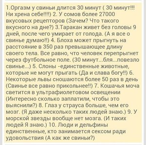 IMG-20141207-WA0054.jpg (3374 просмотра) <a class='original' href='./download/file.php?id=38667&mode=view' target=_blank>Загрузить оригинал (79.88 КБ)</a>