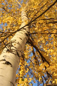 06-003.jpg (2531 просмотр) <a class='original' href='./download/file.php?id=38763&mode=view' target=_blank>Загрузить оригинал (189.2 КБ)</a>