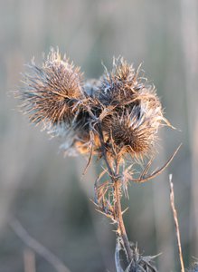 06-004.jpg (2531 просмотр) <a class='original' href='./download/file.php?id=38764&mode=view' target=_blank>Загрузить оригинал (118.48 КБ)</a>