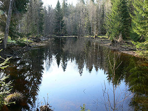 120506-06m.jpg (2509 просмотров) <a class='original' href='./download/file.php?id=38785&mode=view' target=_blank>Загрузить оригинал (86.64 КБ)</a>