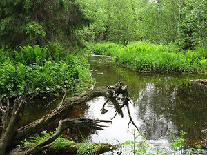 120610-02m.jpg (2509 просмотров) <a class='original' href='./download/file.php?id=38786&mode=view' target=_blank>Загрузить оригинал (101.89 КБ)</a>