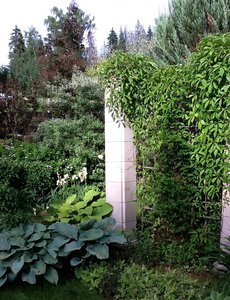 image.jpg (2493 просмотра) <a class='original' href='./download/file.php?id=38796&mode=view' target=_blank>Загрузить оригинал (325.82 КБ)</a>