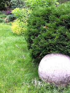 image.jpg (2493 просмотра) <a class='original' href='./download/file.php?id=38797&mode=view' target=_blank>Загрузить оригинал (333.69 КБ)</a>