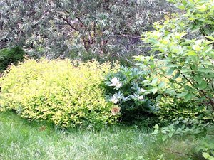 image.jpg (2493 просмотра) <a class='original' href='./download/file.php?id=38798&mode=view' target=_blank>Загрузить оригинал (367.68 КБ)</a>