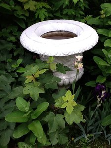 image.jpg (2493 просмотра) <a class='original' href='./download/file.php?id=38799&mode=view' target=_blank>Загрузить оригинал (153.08 КБ)</a>