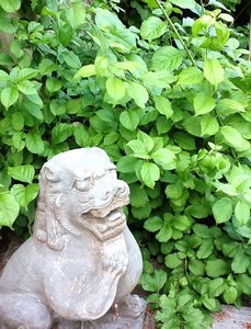 image.jpg (2493 просмотра) <a class='original' href='./download/file.php?id=38800&mode=view' target=_blank>Загрузить оригинал (285.75 КБ)</a>